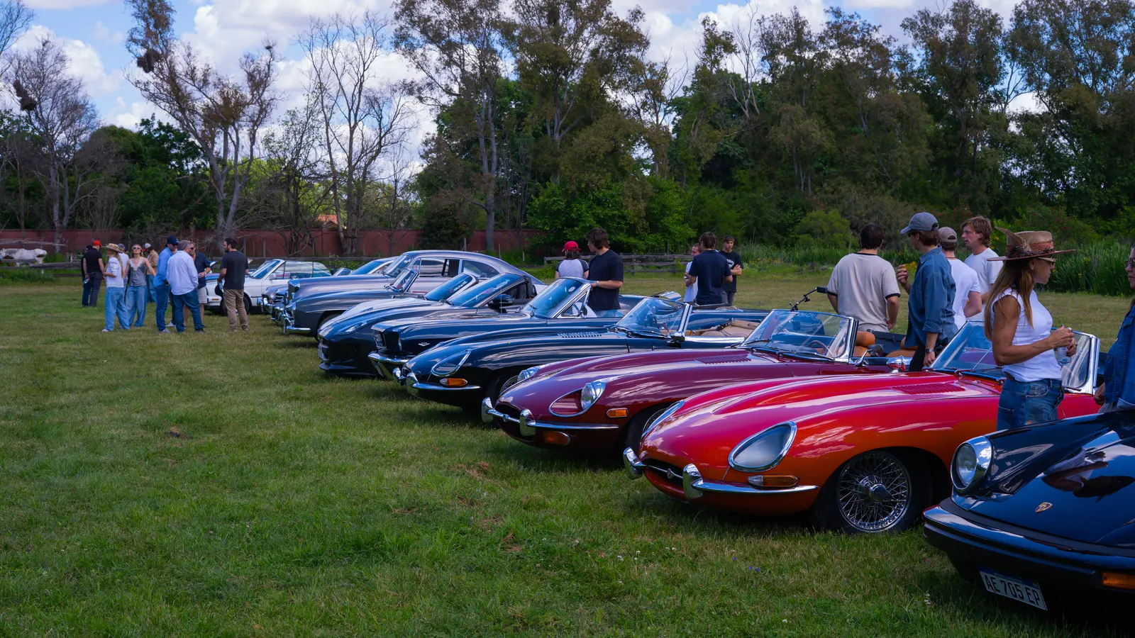 A row of classics on the grass — a red E-Type among them — with guests walking between them.