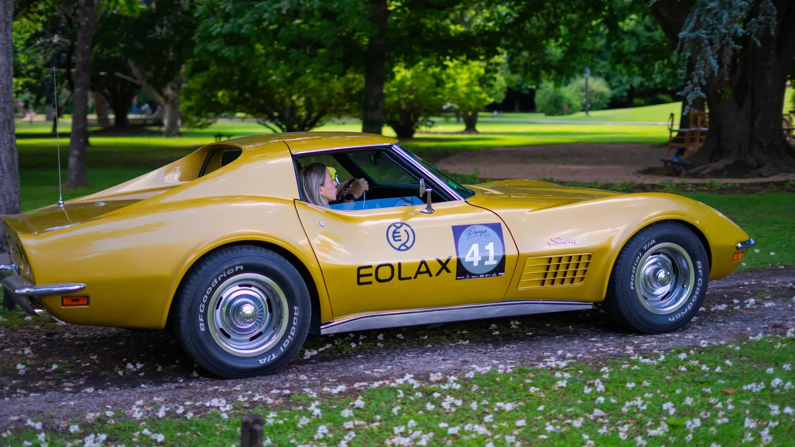 The gold Corvette Stingray, carrying the number 41 and the Eolax logo on its door, driving along the rally road.
