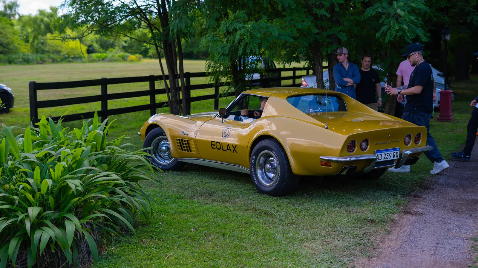 The Corvette parked on the grass beside the fence, with a group of guests talking behind it.
